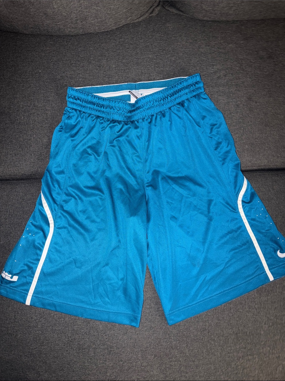 Nike LeBron James Crown Logo Dri-FIT Basketball Shorts Men’s XL Teal